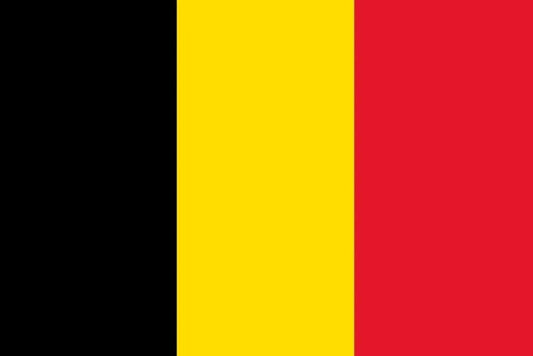 BELGIUM Courtesy Flag 30 x 45cm