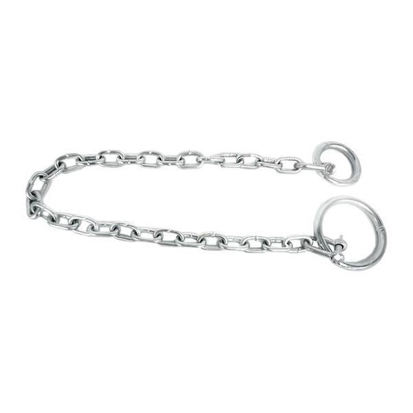 MOORING chain and ring
