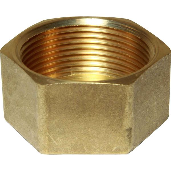 MAESTRINI BRASS Blanking Cap (1-1/2" BSP Female)