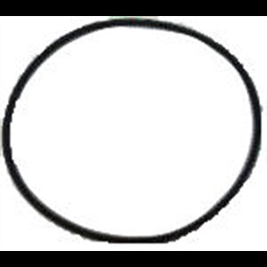 Shanks belt