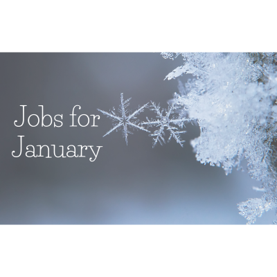 Jobs for January – Lindon Lewis Marine