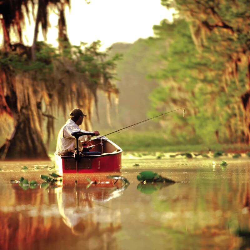 MINN Kota ENDURA C2 55lb Thrust 12V 36" Shaft w/ Battery Meter