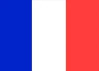 French Courtesy Flag