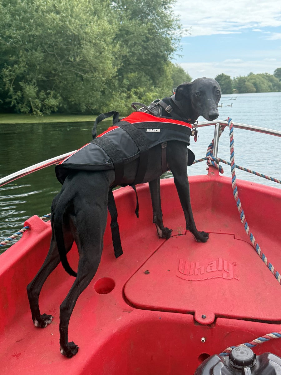 BALTIC Pet Buoyancy Aid -Large 15-40kg
