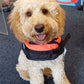 BALTIC Pet Buoyancy Aid Medium - 8-15kg Red/Black