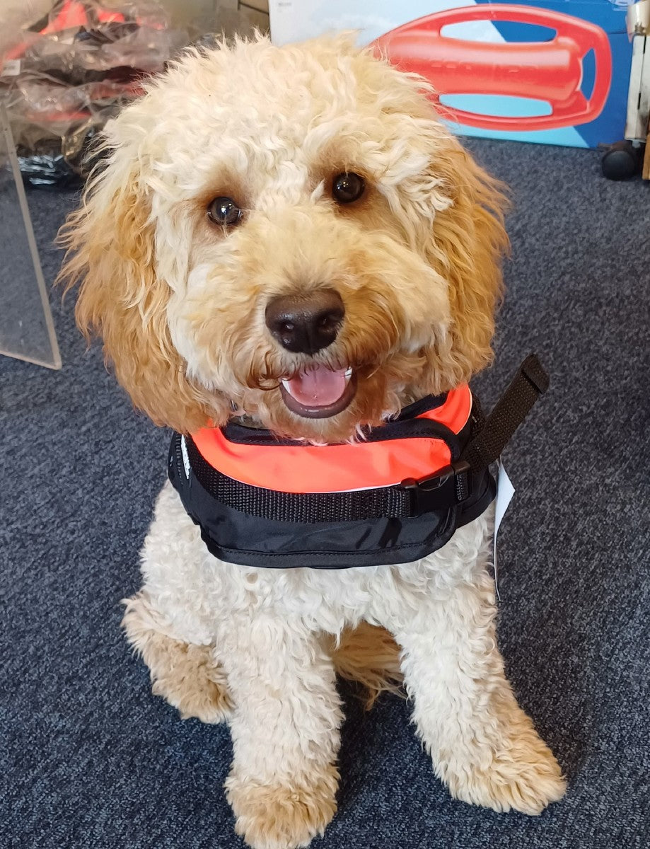 BALTIC Pet Buoyancy Aid Medium - 8-15kg Red/Black