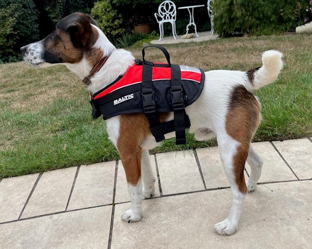 BALTIC Pet Buoyancy Aid Small 3-8kg Red/Black