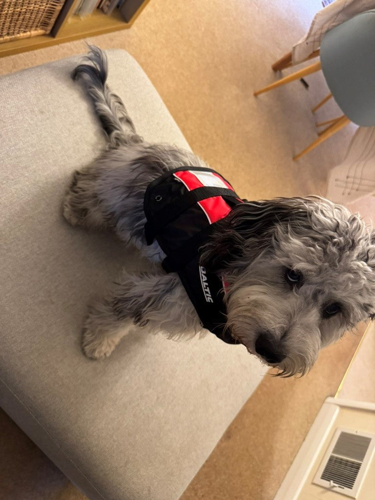 BALTIC Pet Buoyancy Aid Small 3-8kg Red/Black