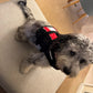 BALTIC Pet Buoyancy Aid Small 3-8kg Red/Black