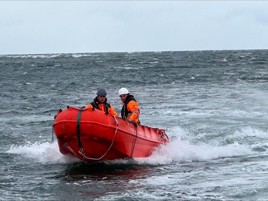 Whaly 500R Professional