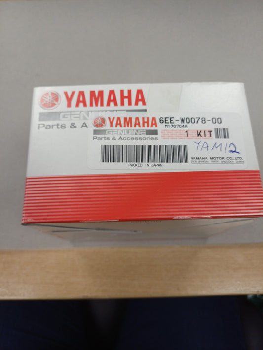 Yamaha Water Pump Repair Kit
