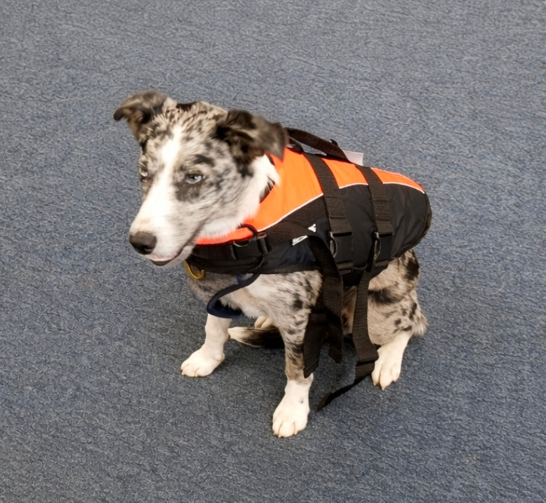 BALTIC Pet Buoyancy Aid -Large 15-40kg